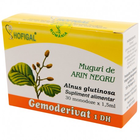 Muguri de arin negru - Gemoderivat