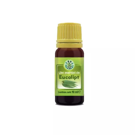 Ulei esential de Eucalipt, uz extern, 10 ml, Herbal Sana