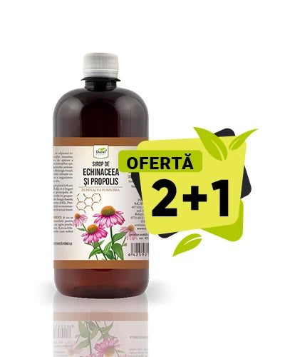 Ofertă 2+1 Sirop de Echinaceea și propolis