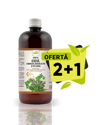 Ofertă 2+1 Sirop de iederă, cimbrișor, muguri de pin și pătlagină cu miere