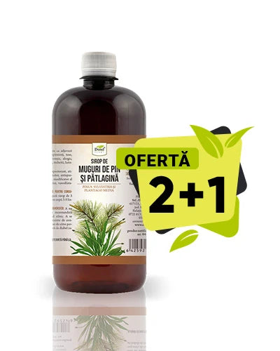 Ofertă 2+1 Sirop de Muguri de pin și pătlagină