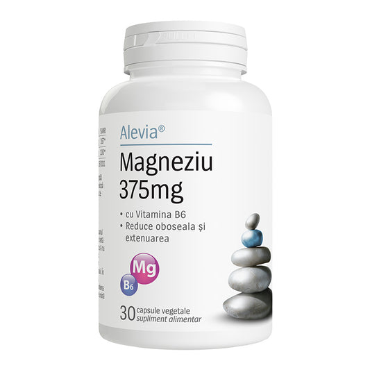 Magneziu 375mg B6 30 capsule