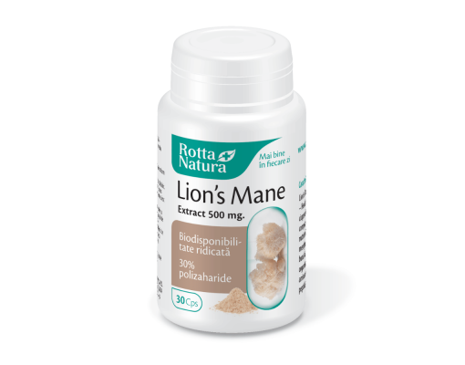 Lion's Mane Extract 500 mg.