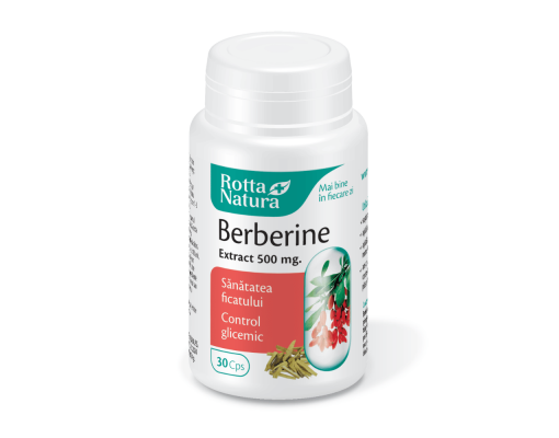 Berberine Extract 500 mg.