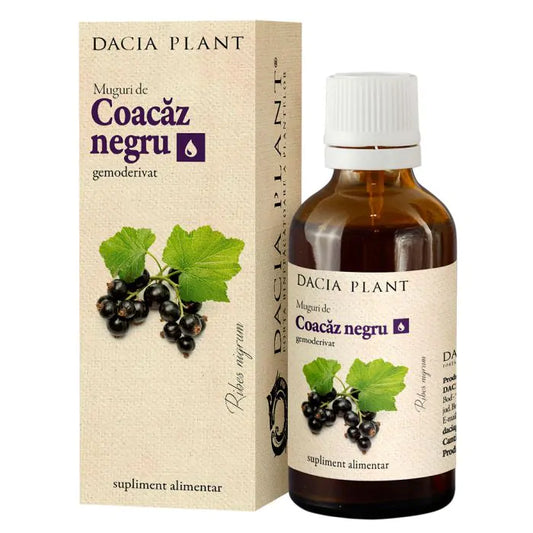 Coacaz Negru Gemoderivat