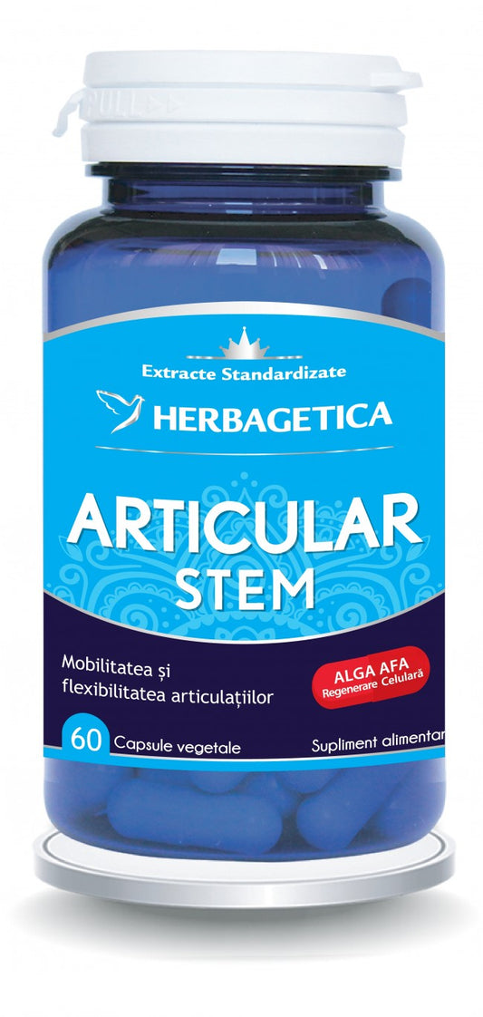 ARTICULAR STEM