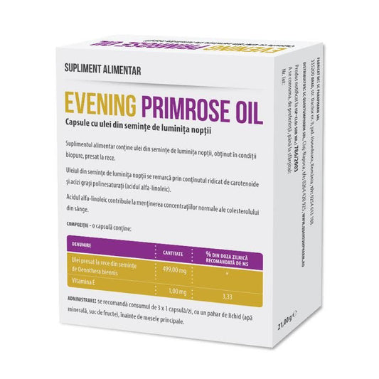 Evening Primrose