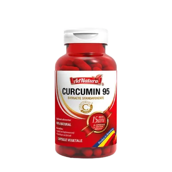 CURCUMIN 95 60CPS