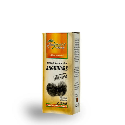 Extract natural din Anghinare fara alcool 200 ml