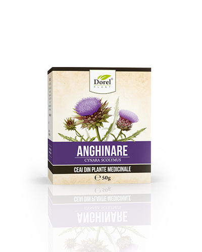 Ceai de Anghinare