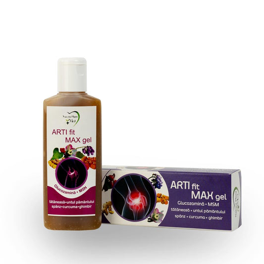 ARTI fit MAX Gel 125 ml
