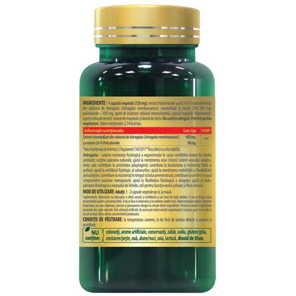 ASTRAGALUS extract 450 mg, echivalent a 9000 mg
