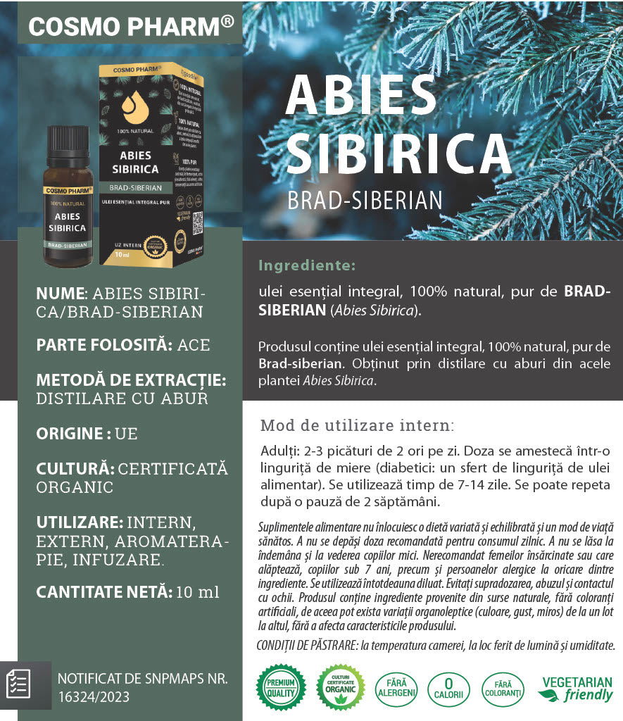 Ulei esential de BRAD-SIBERIAN – Abies siberica