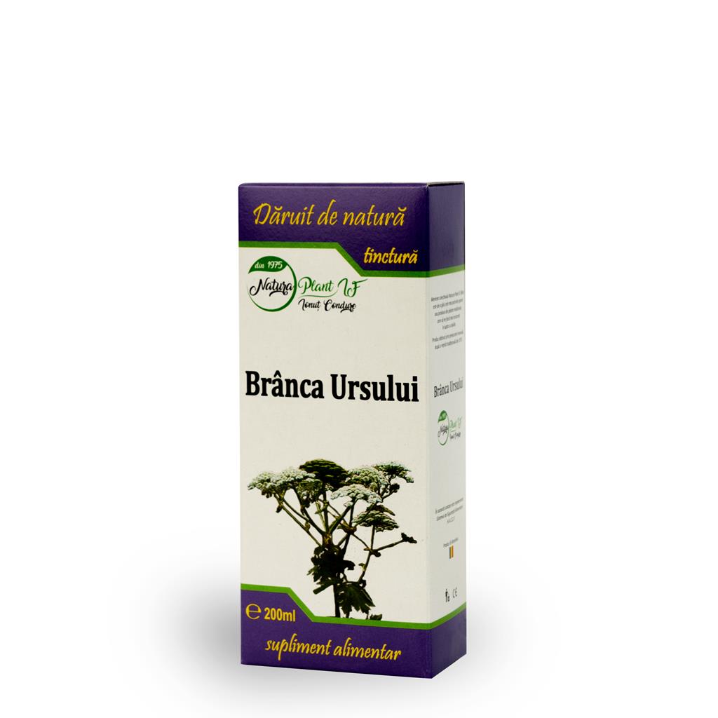 Tinctură din Brânca Ursului
