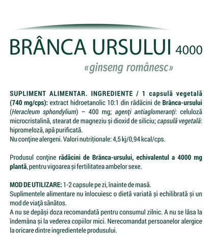 BRANCA URSULUI – Afrodisiac Natural Pentru Femei Si Barbati