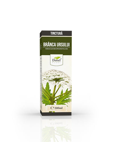 Tinctură de Brânca ursului