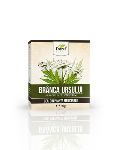 Ceai de Brânca ursului