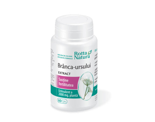 Branca-ursului extract