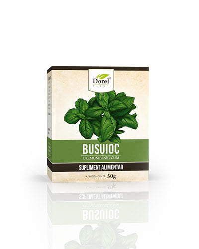 Ceai de Busuioc
