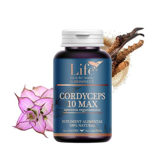 CORDYCEPS 10 MAX – 120 capsule