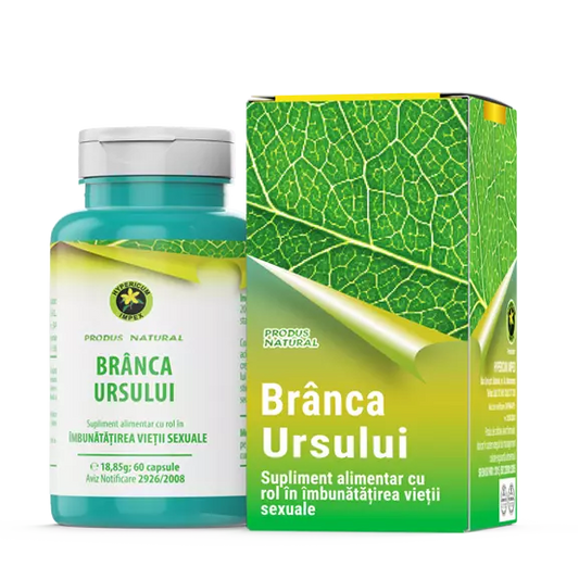 Capsule Branca Ursului