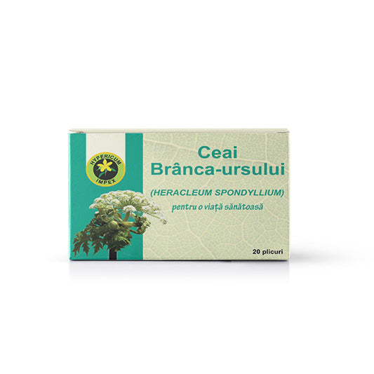 Ceai Branca Ursului doze