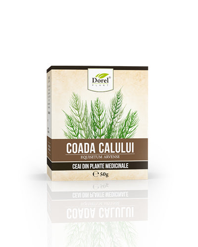 Ceai de Coada calului