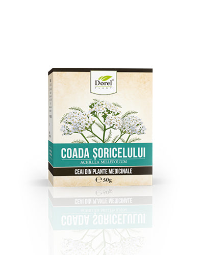 Ceai de Coada șoricelului