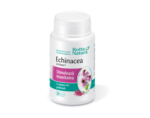 Echinacea extract