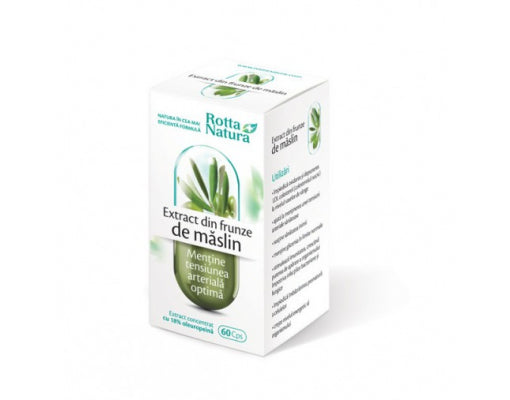 Măslin extract de frunze