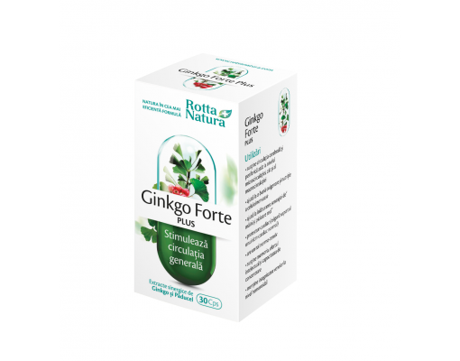 Ginkgo Forte Plus