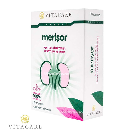 Merisor