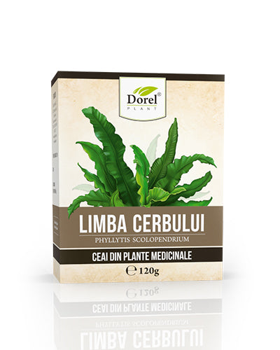 Ceai de Limba cerbului (Năvalnic)