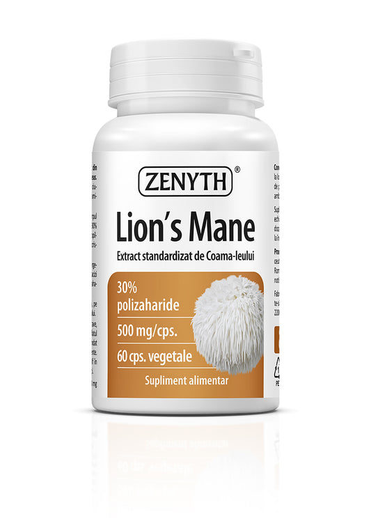 Lion’s Mane 500 mg, 60 capsule