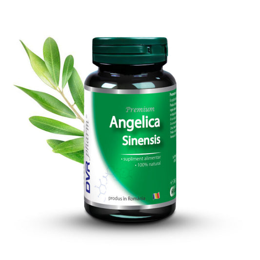 Angelica Sinensis, 60cps, DVR Pharm