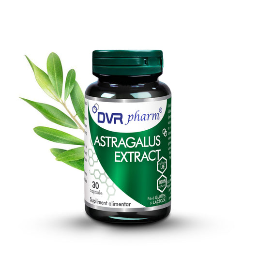 ASTRAGALUS EXTRACT – 30 capsule
