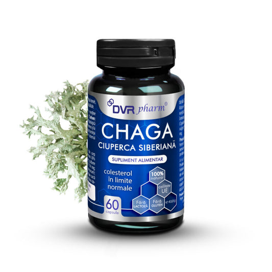 CHAGA – Ciuperca Siberiană – 60 de capsule, DVR Pharm