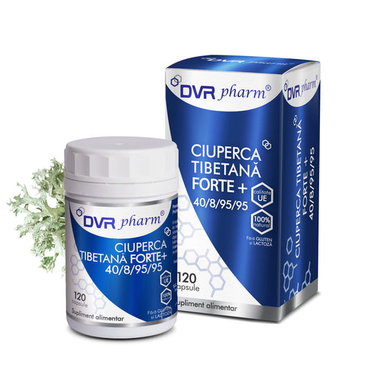 CIUPERCA TIBETANĂ FORTE + - 120 capsule