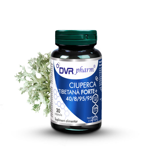 CIUPERCA TIBETANĂ FORTE + – 30 capsule