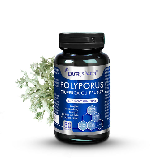 POLYPORUS – Ciuperca cu Frunze – 30 de capsule