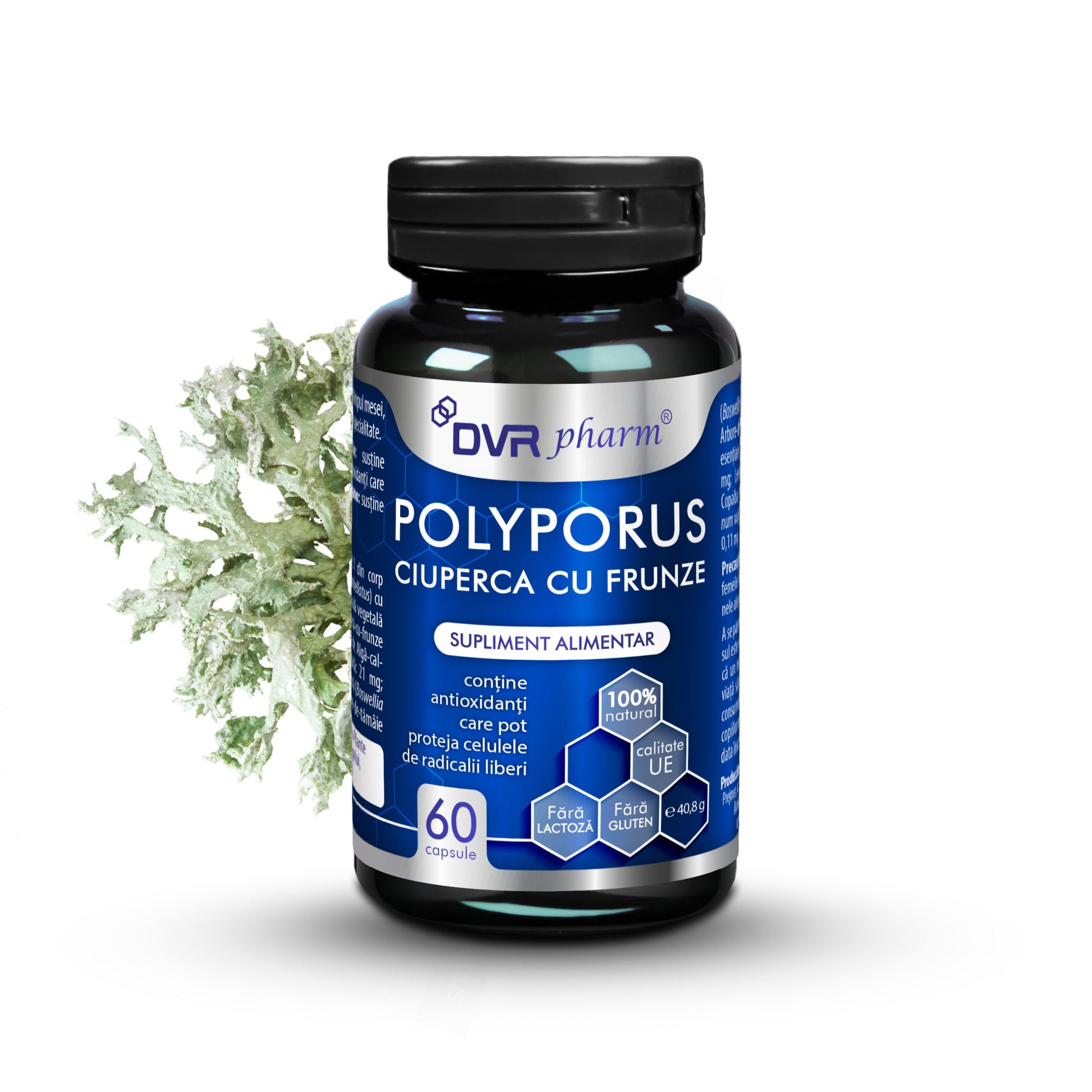 POLYPORUS – Ciuperca cu Frunze – 60 de capsule