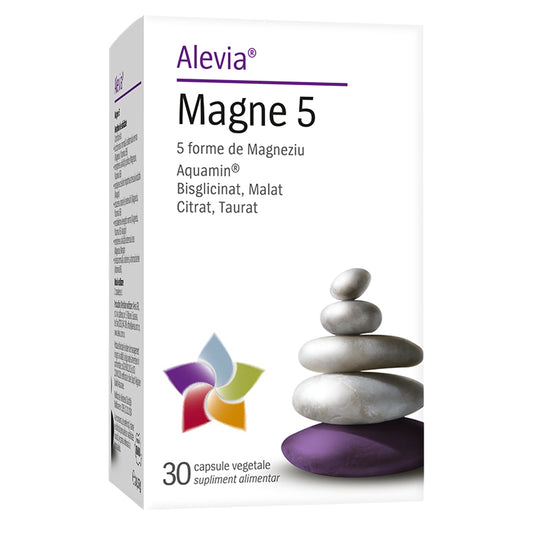 Magne 5