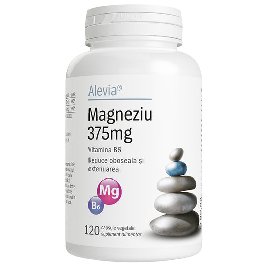 Magneziu 375mg B6 120 capsule