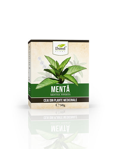 Ceai de Mentă