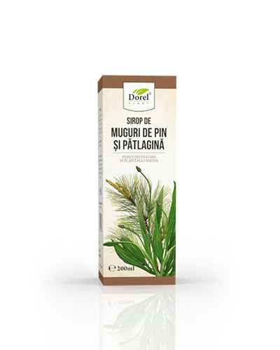 Sirop de Muguri de pin și pătlagină