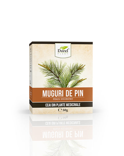 Ceai de Muguri de pin
