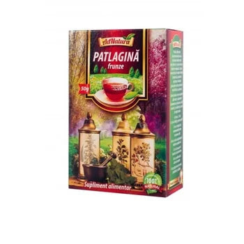 CEAI PATLAGINA FRUNZE 50GR