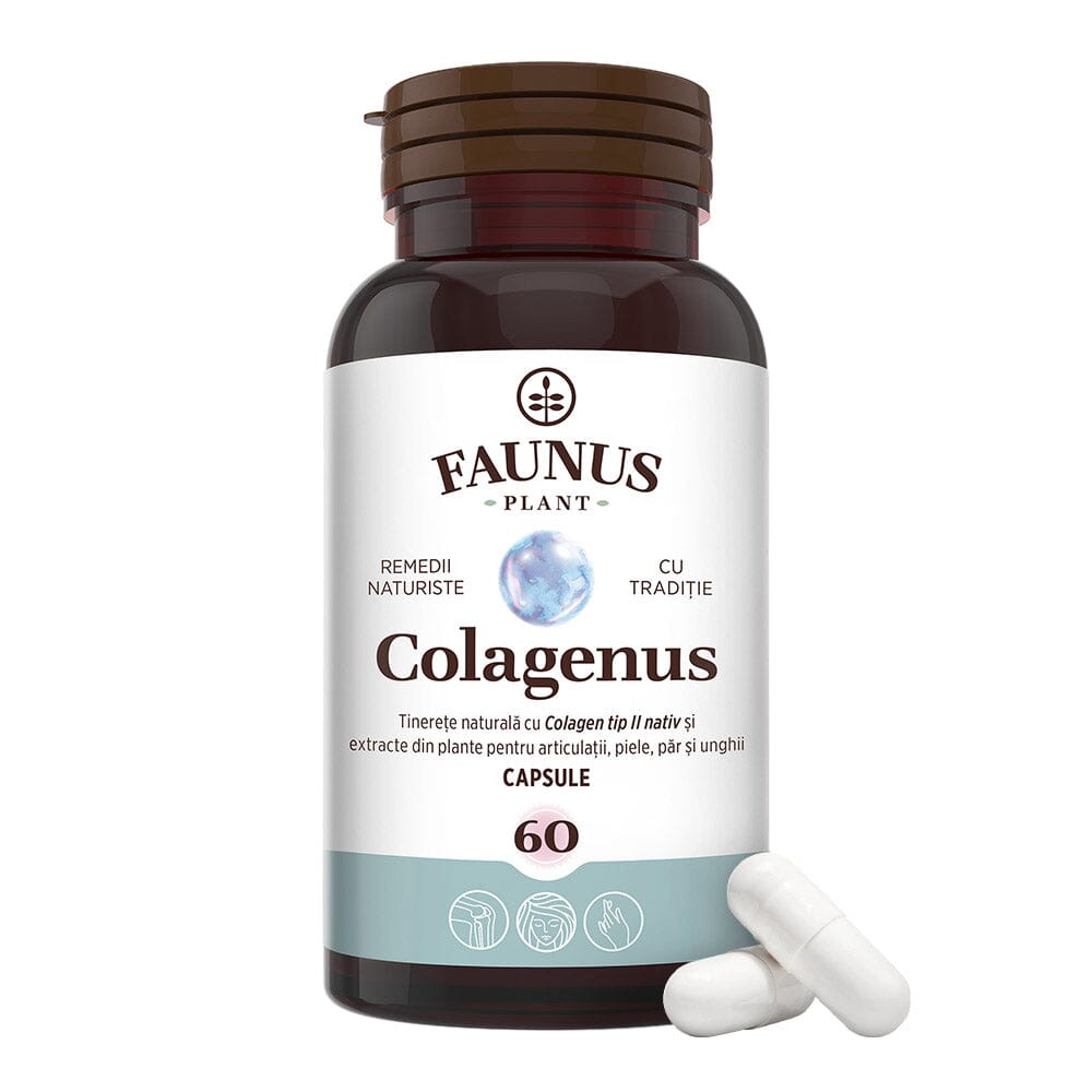 Colagenus Capsule - Colagen concentrat tip II, acid hialuronic și plante medicinale. Dureri articulare, rezistență articulații, flexibilitate - 60 Capsule