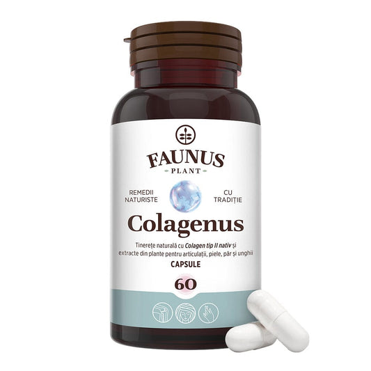 Colagenus Capsule - Colagen concentrat tip II, acid hialuronic și plante medicinale. Dureri articulare, rezistență articulații, flexibilitate - 60 Capsule