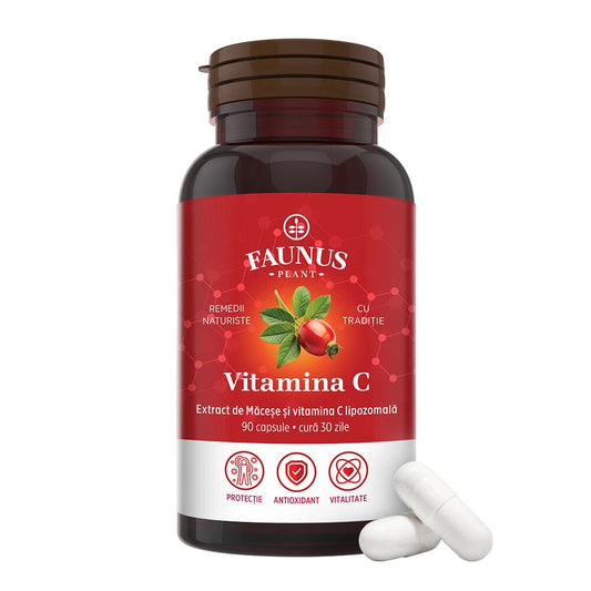 Vitamina C lipozomală cu măceșe - Concentrație mare de vitamina C pentru imunitate, absorbție fier și producerea de colagen - 90 Capsule